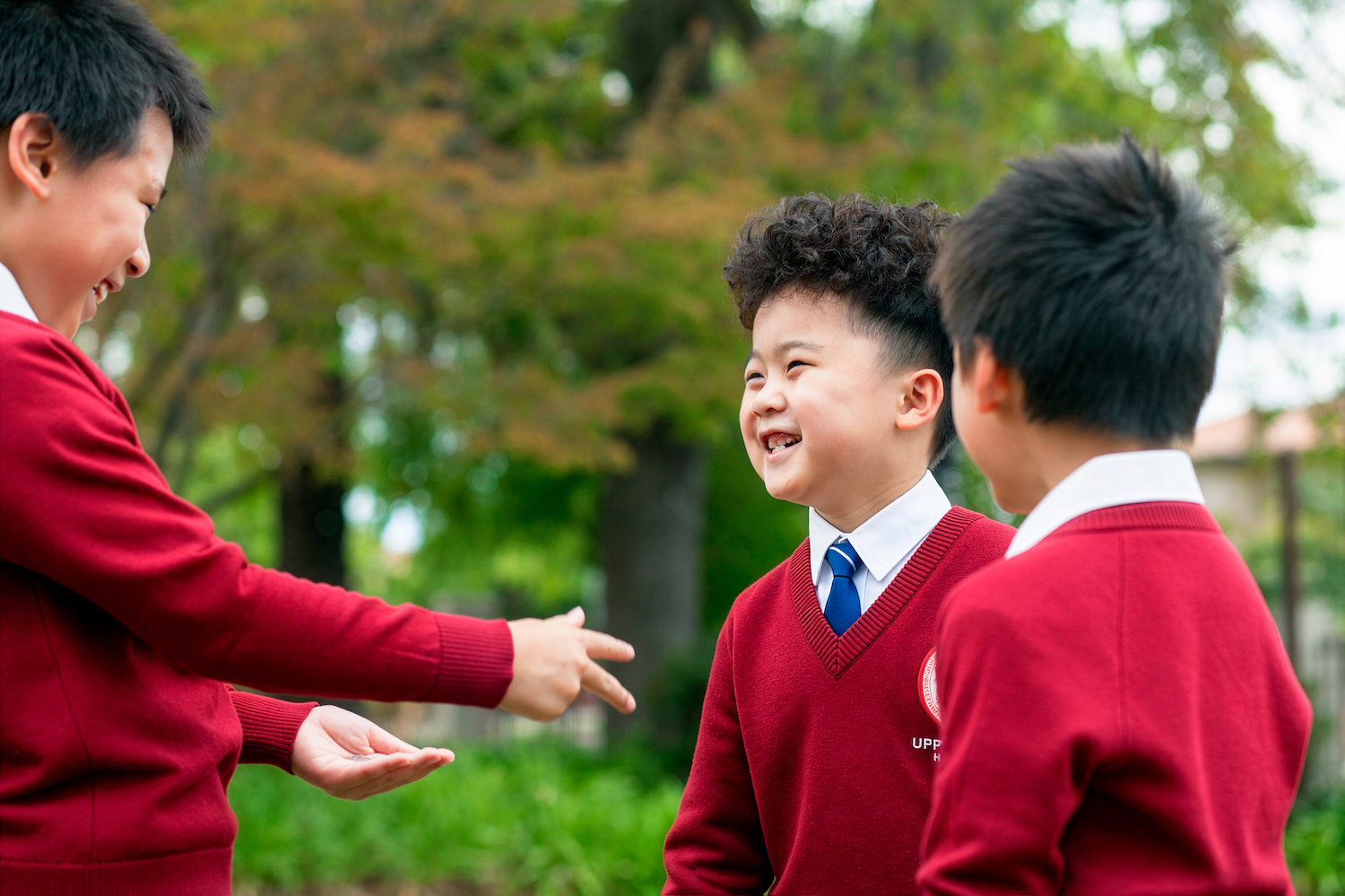 Our Philosophy of Holistic Education